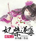 重生之妃柴逆袭