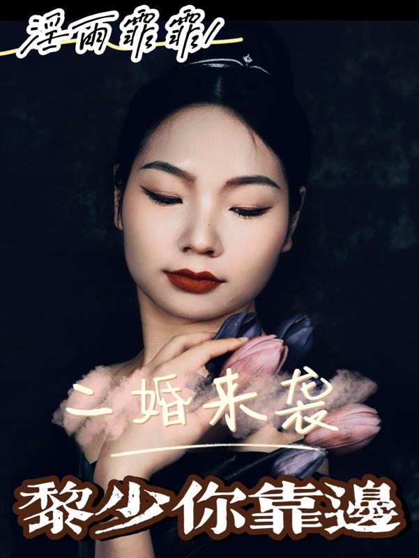 二婚来袭，黎少你靠边