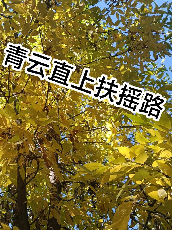 青云直上扶摇路